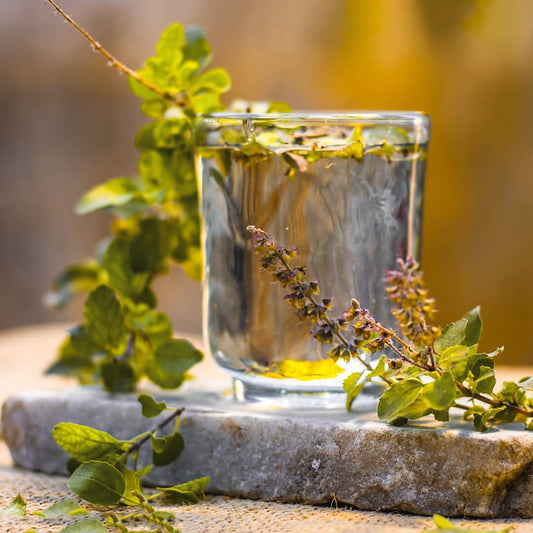 Unlock Your Skin's Radiance: Discover the Power of Ayurvedic Botanicals - Velleja