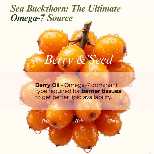Sea Buckthorn Berry Oil | Face & Hair Serum | Nourishing Body Oil