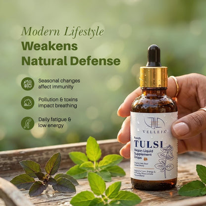 Panch Tulsi Drops 50 ml | Ayurvedic Immunity Booster with High Eugenol 5-in-1 Tulsi Extract | Cough, Cold & Mild Fever Relief - Velleja